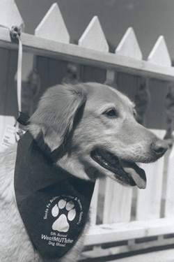 Photo of Ginger